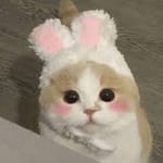 Esteban Cabrera avatar